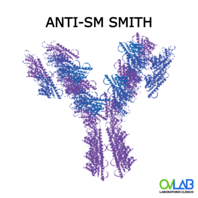 ANTI-SM SMITH
